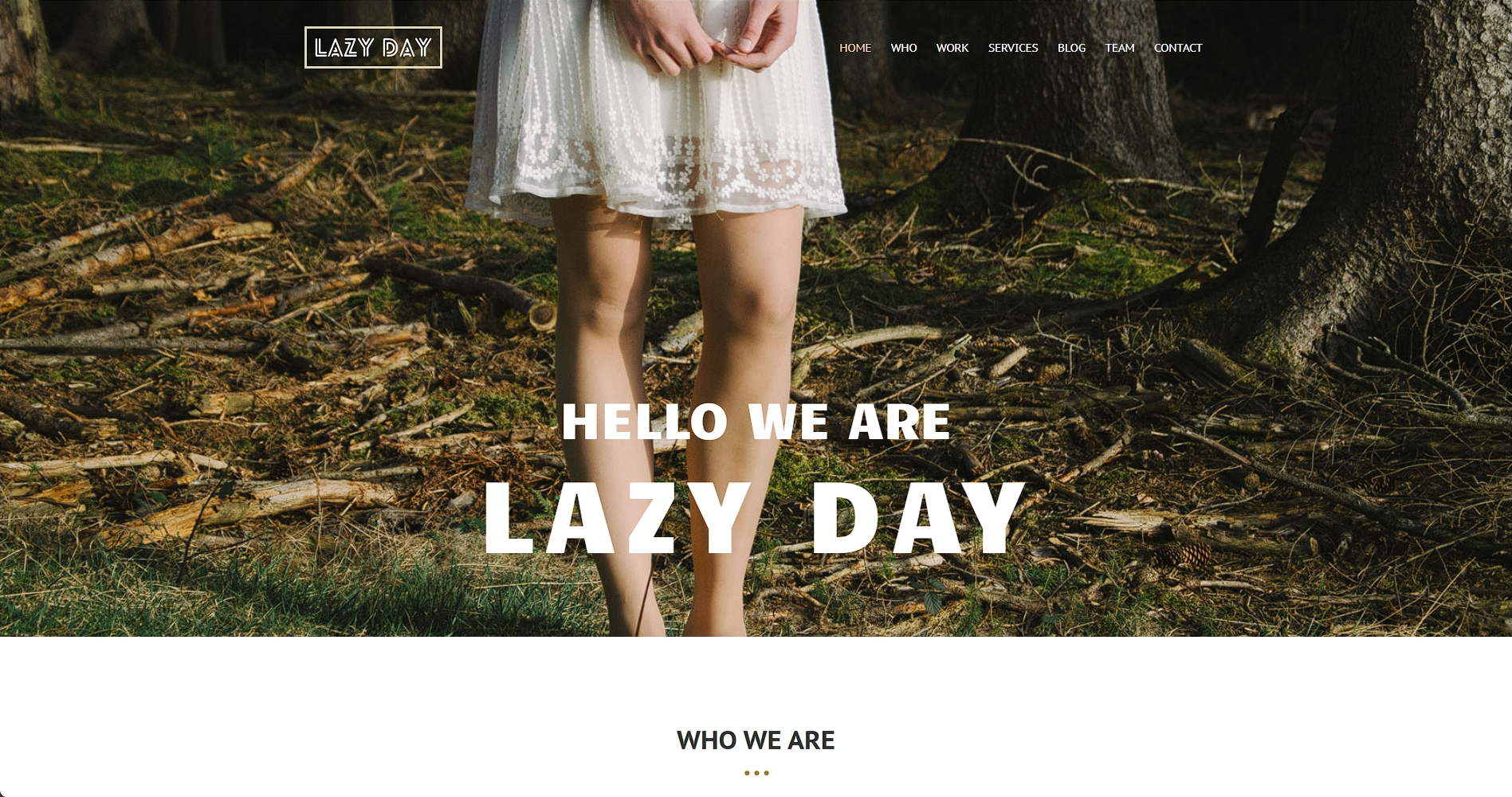 设计师品牌介绍网页模板-柒伍零丨网络资源社区