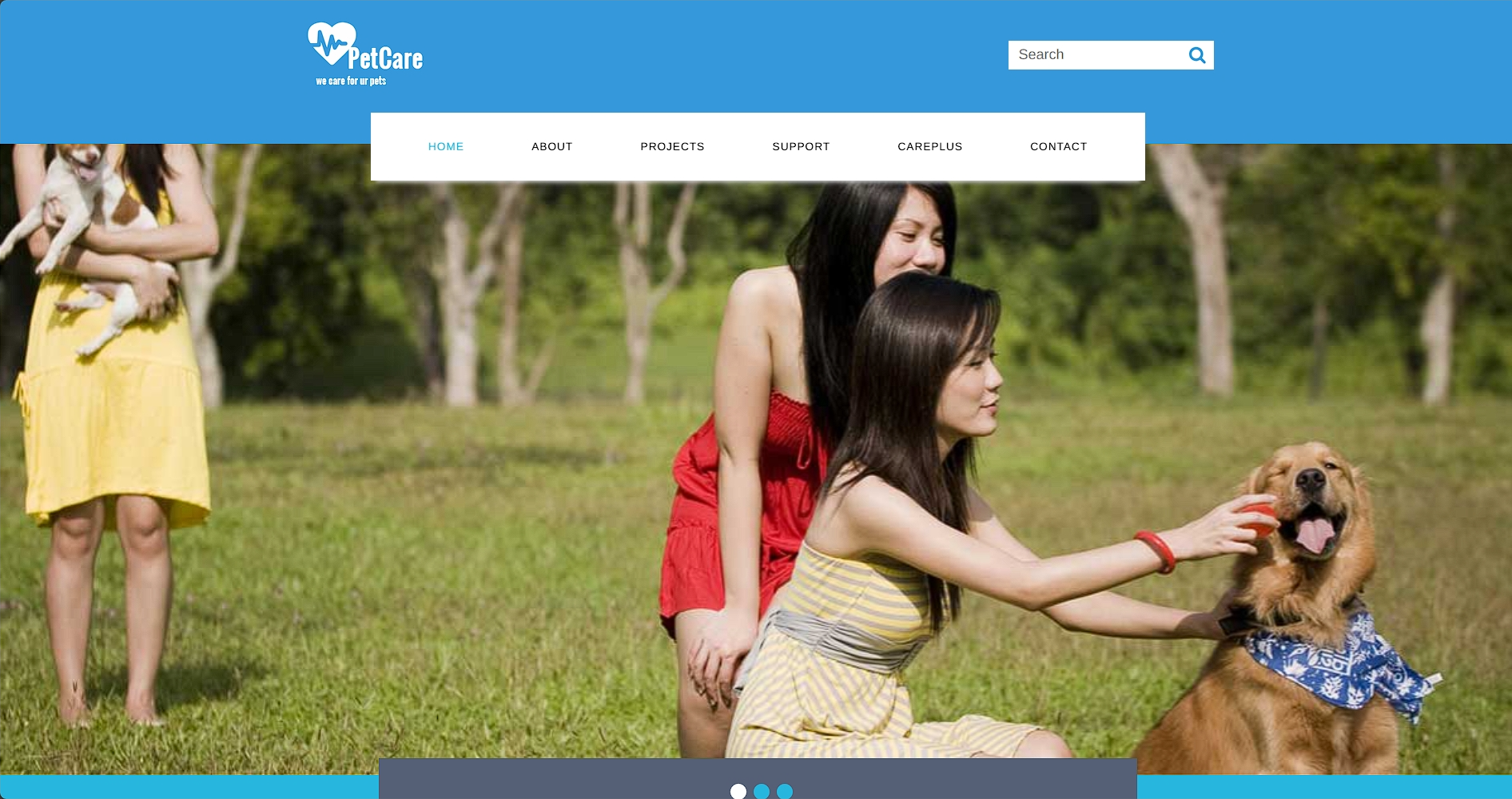 宠物护理中心响应式网页模板-柒伍零丨网络资源社区