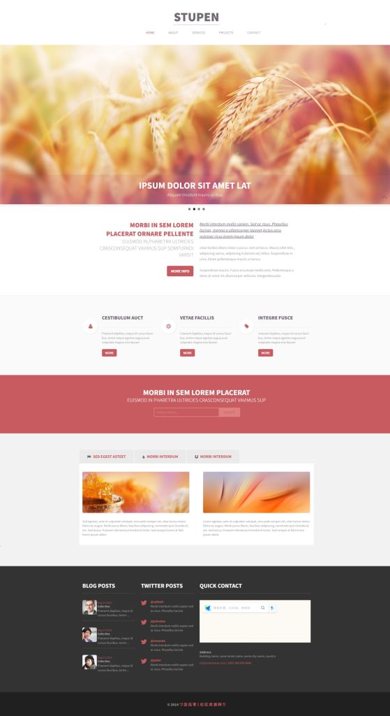 屏幕截图_9-12-2025_214125_