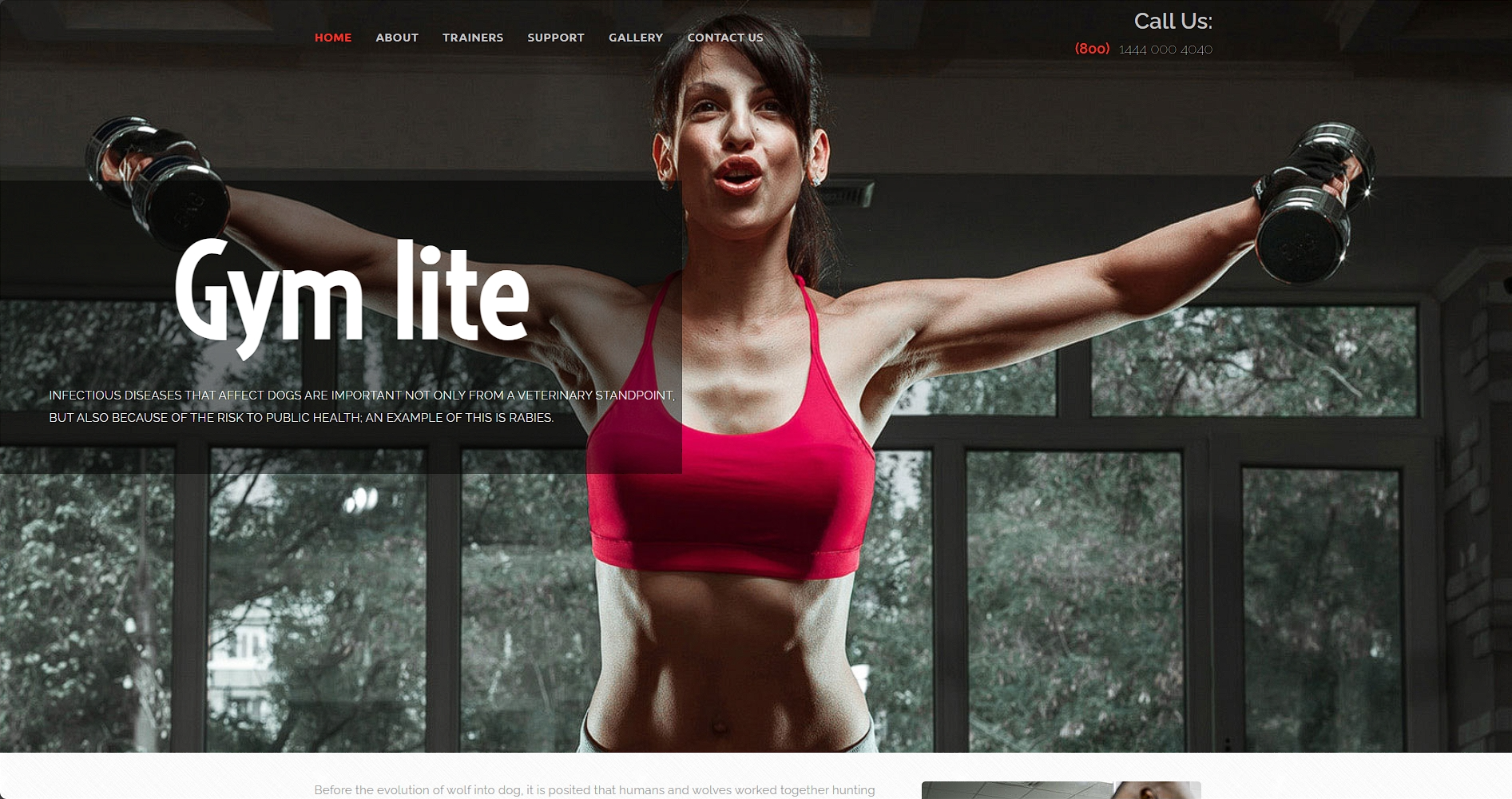 健身房运动介绍响应式网页模板-柒伍零丨网络资源社区