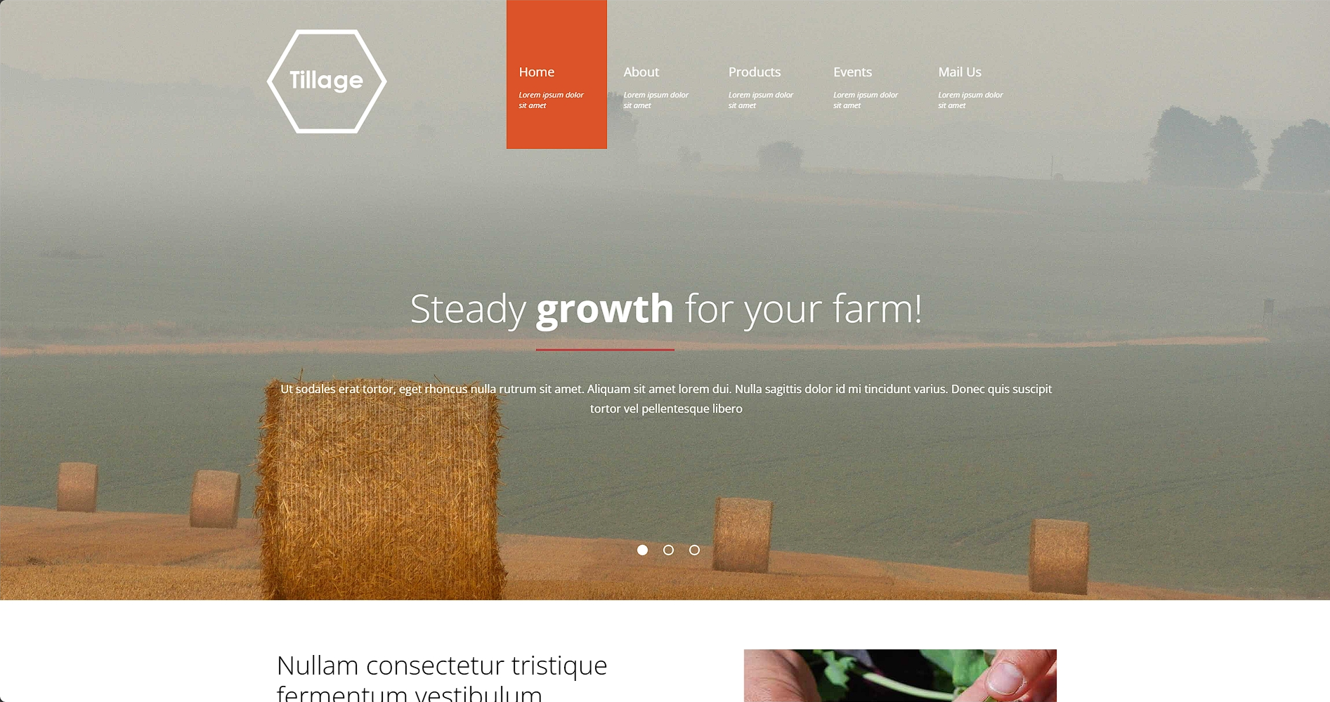 农业耕作生产科技响应式网页模板-柒伍零丨网络资源社区